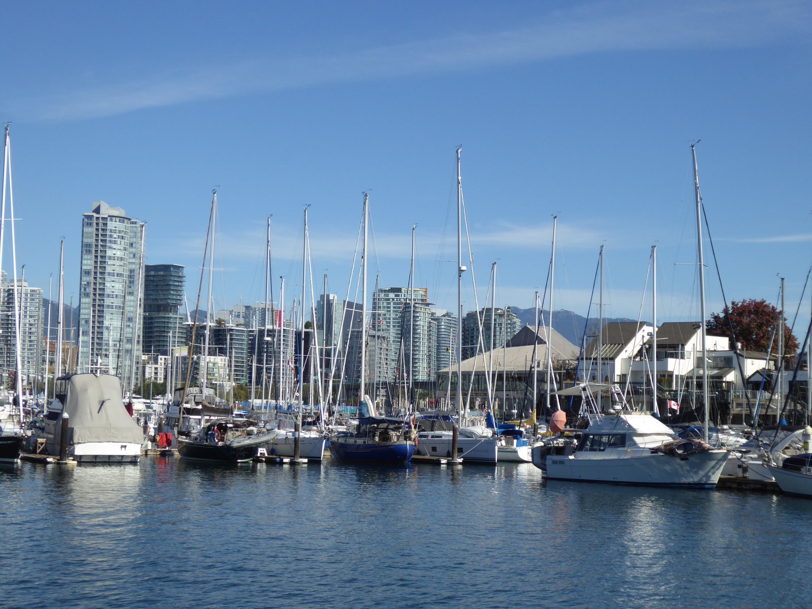 Zeilboten in een jachthaven aan False Creek met de skyline van Vancouver